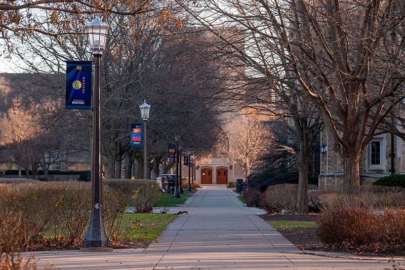 Campus sidewalk lined with bare trees and light pole banners.