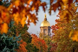 The Golden Dome framed by orange fall leaves.