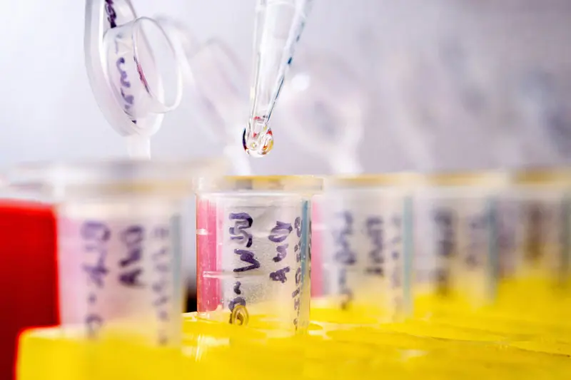 A sample of water being dropped into a test tube.