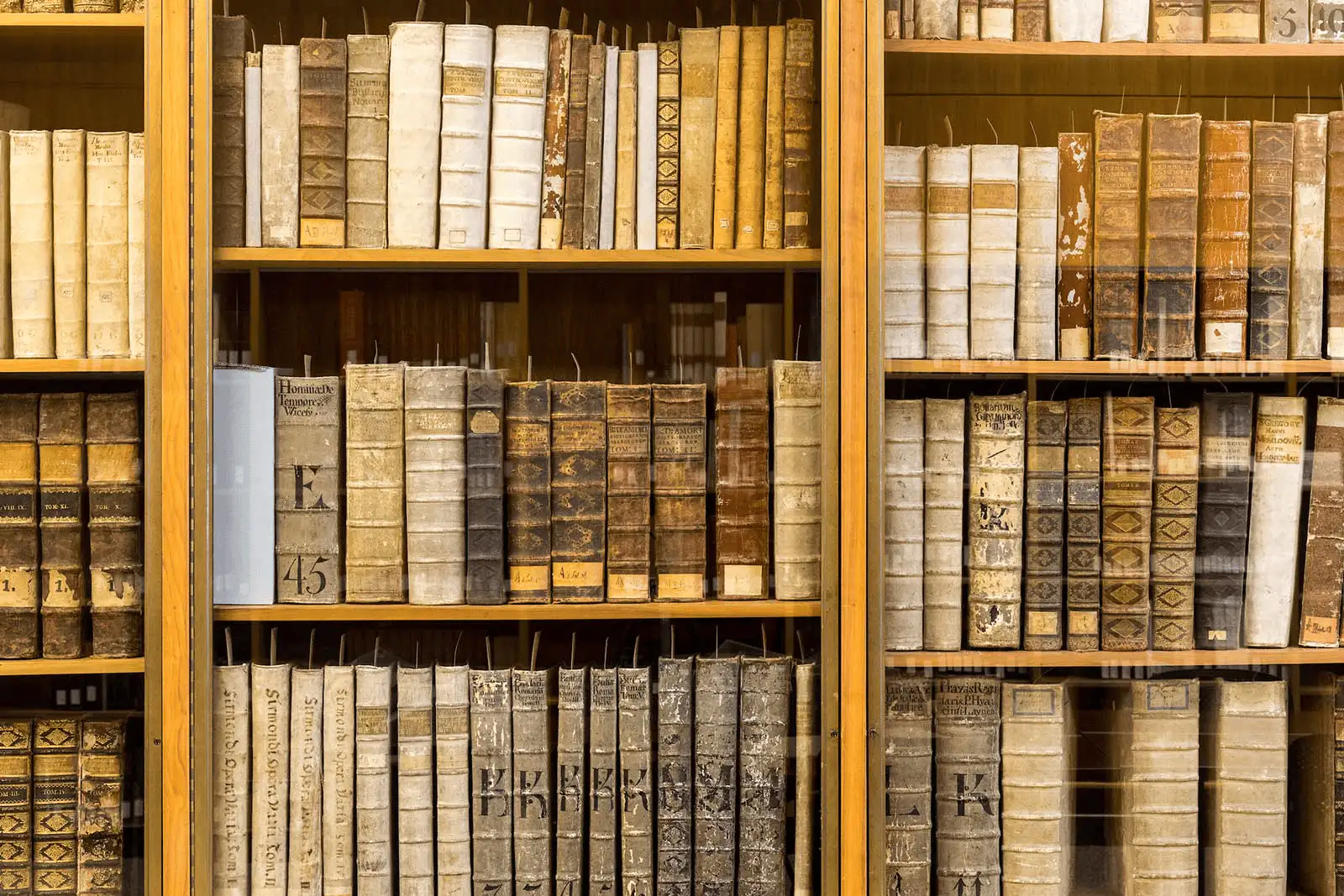 A wooden bookshelf full of old, tethered books.