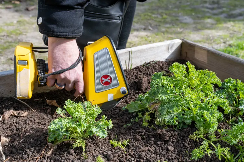 Marya Lieberman uses a yellow handheld lead-testing device to check the lead levels in soil in a raised garden bed