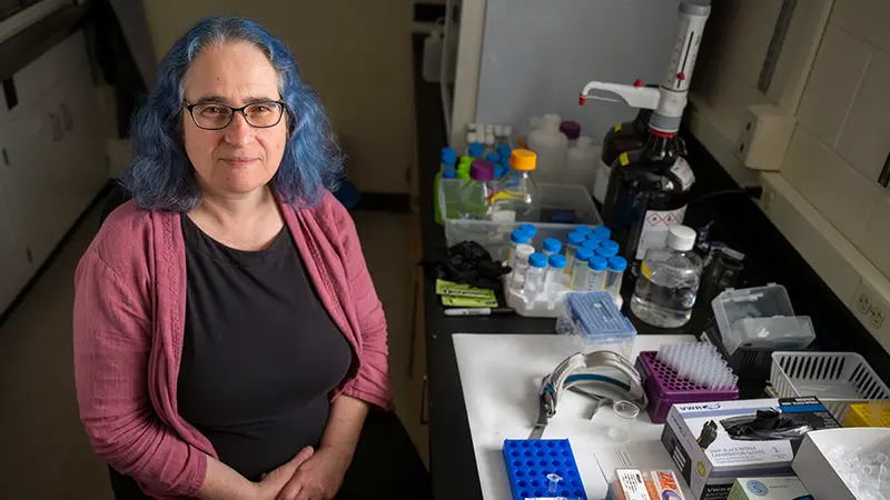 Marya Lieberman, with bright blue hair, sits next to all her opioid testing equipment inlcuding test tubes and chemicals, in her lab.
