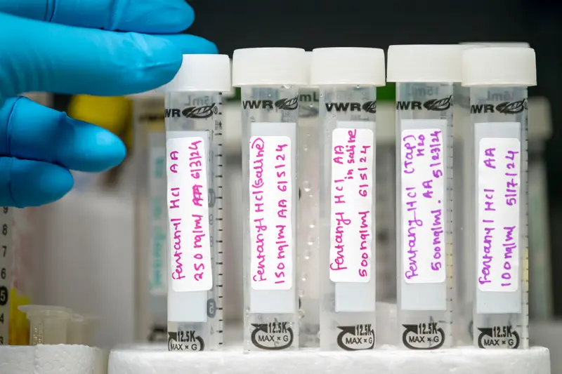 Fentanyl solutions stored in a test tube.